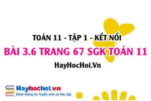 Giải bài 3.6 trang 67 Toán 11 tập 1 SGK Kết nối tri thức